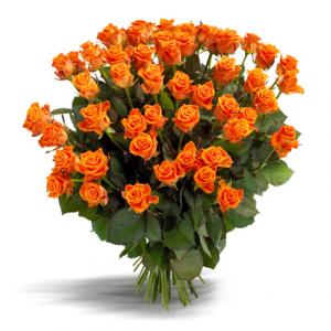 rozen