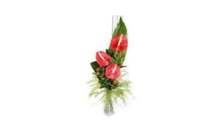 vaasje met anthurium