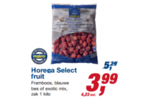 horeca select fruit