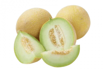 makro galia meloen