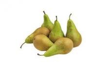 coop conference peren