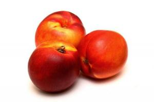 attent nectarines