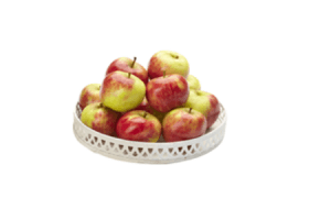 hollandse elstar appels 15 kilo