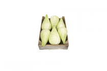 dekamarkt biologische spitskool