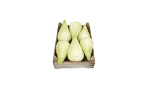 dekamarkt biologische spitskool