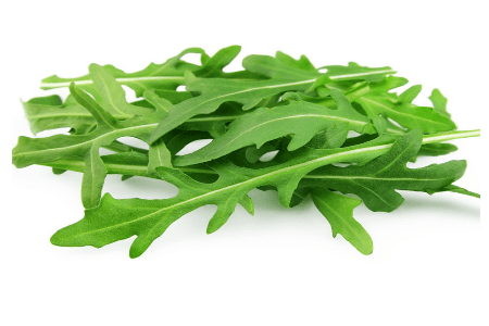 rucola