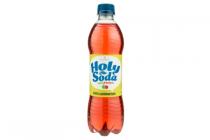 holy soda appelframboos 05l