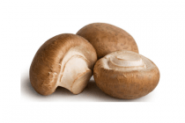 kastanjechampignons