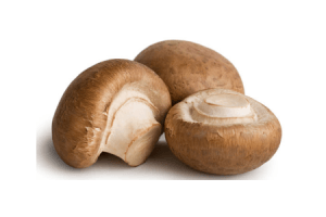 kastanjechampignons