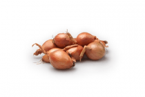 sjalotten