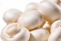 champignons