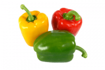 hollandse paprika mix