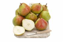 hollandse handperen