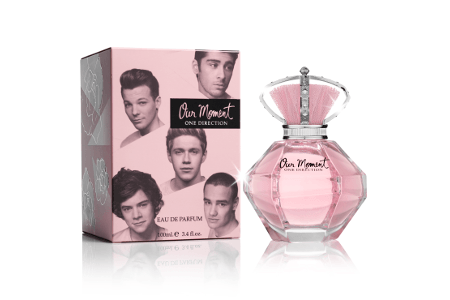 one direction our moment