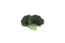 hollandse broccoli