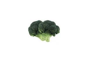 hollandse broccoli