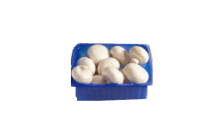 champignons