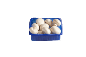 champignons