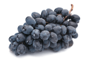 blauwe druiven