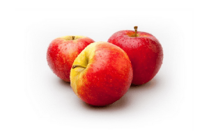 evelina appels