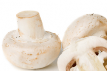 champignons