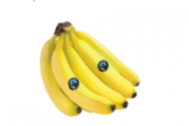 fair trade bananen