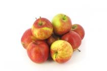 jonagold appels
