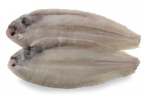 sliptong zonder huid