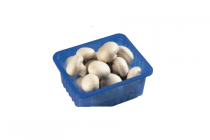 champignons