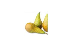 lidl peren