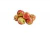 golden delicious appels