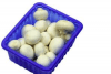 witte champignons
