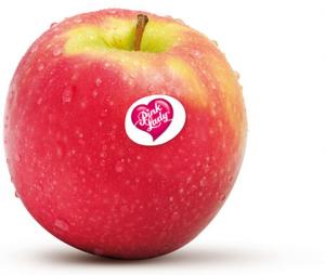 pink lady appelen