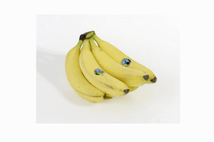 fairtrade bananen