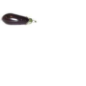 aubergine