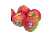 hollandse kanzi appels