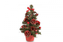 kerstboompje