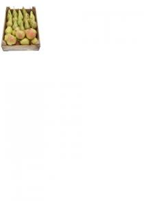 hollandse handperen