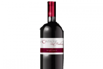 chateau montagne saint emilion