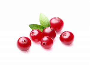verse cranberries