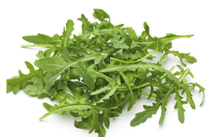 rucola