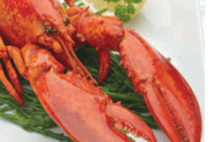 canadese kreeft