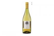 el arbol chardonnay