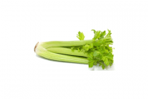 biologische bleekselderij