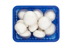 grove champignons