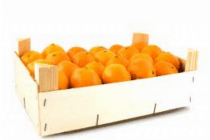 perssinaasappels kist
