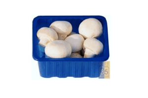 champignons