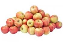 elstar handappels