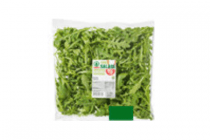 rucola naturel