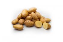 vastkokende aardappels